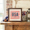 USA Stripes - Framed Sign